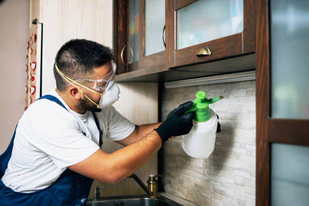 Best Mosquito Control Services  in Shokan, NY