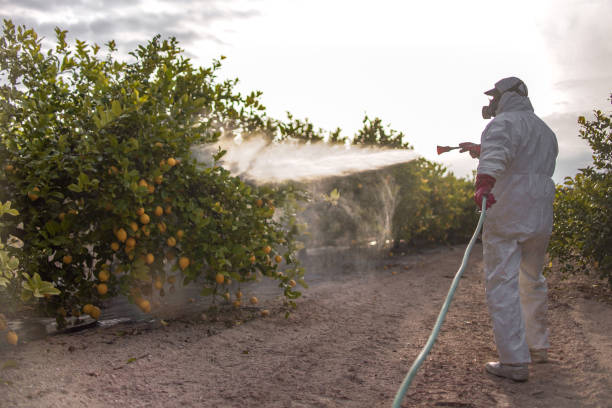 Trusted Shokan, NY Pest Control Experts