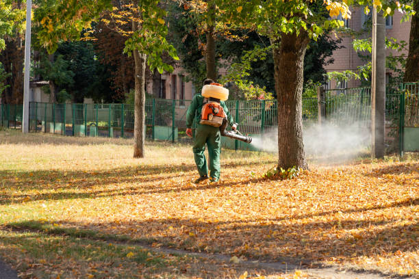 Best Local Pest Control Services  in Shokan, NY