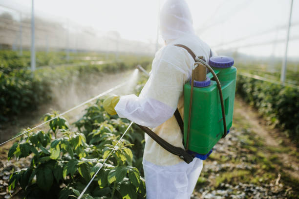 Best Pest Control Near Me in Shokan, NY